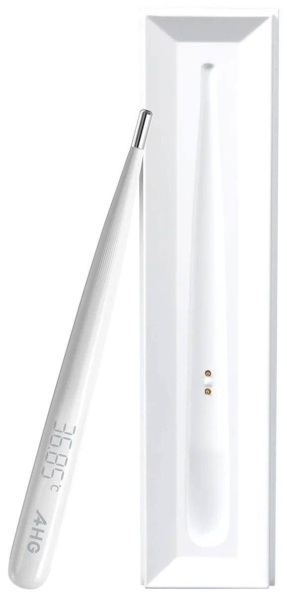 Rechargeable Electronic Thermometer