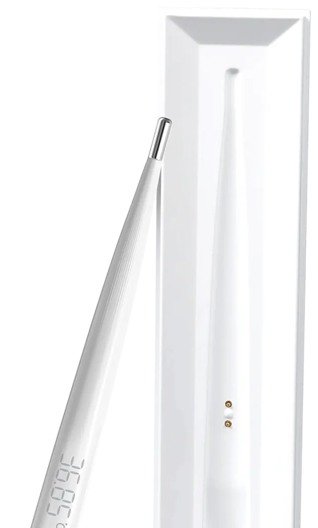 Rechargeable Electronic Thermometer